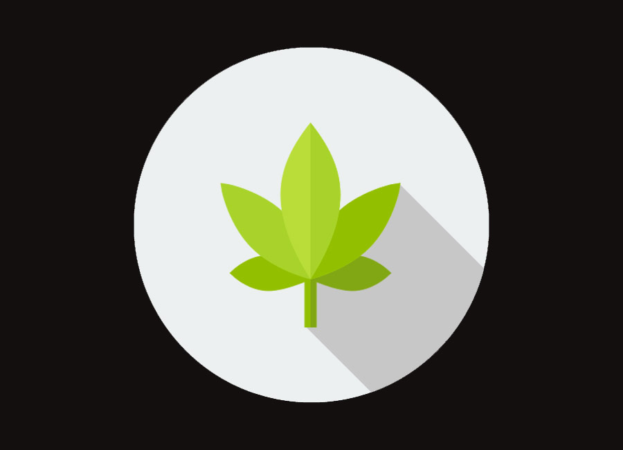 Como abrir un growshop online